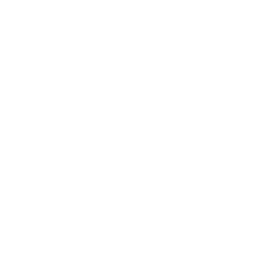 Bid Management & Budget Optimization