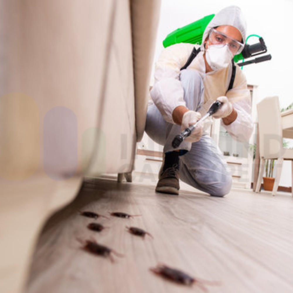 Pest Control Services
